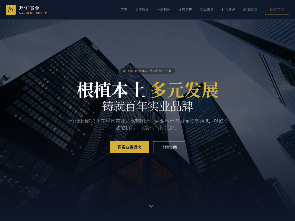 企业/集团商务高端官网